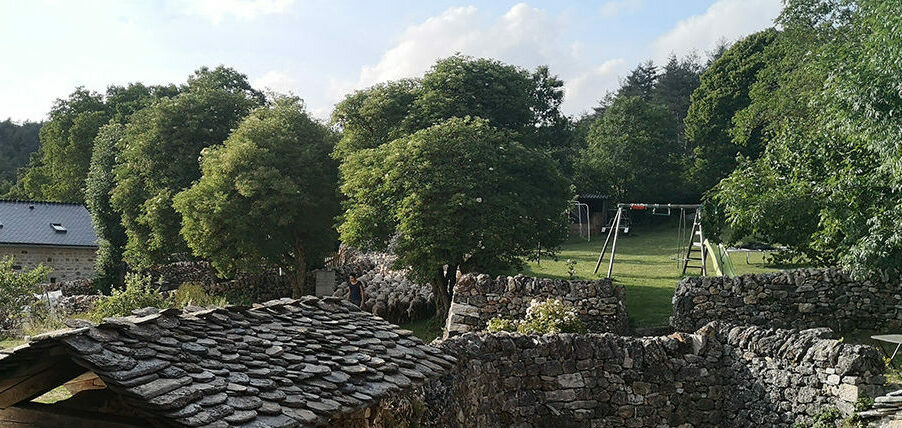 Vue sur le troupeau de brebis du village. Gîte nature causse de sauveterre brebis